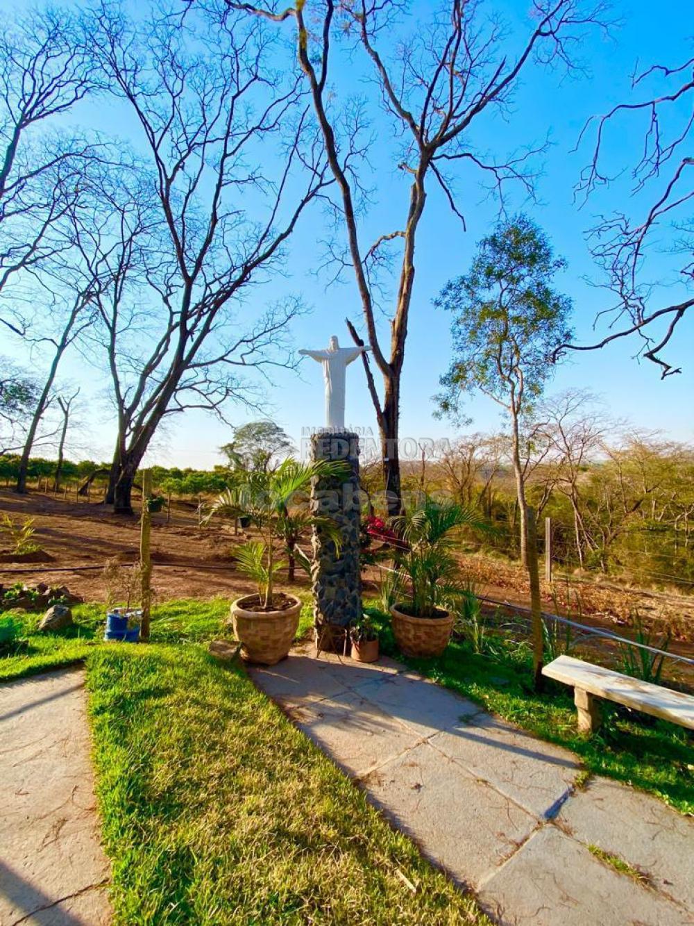 Sítio à venda com 6 quartos, 242000m² - Foto 42