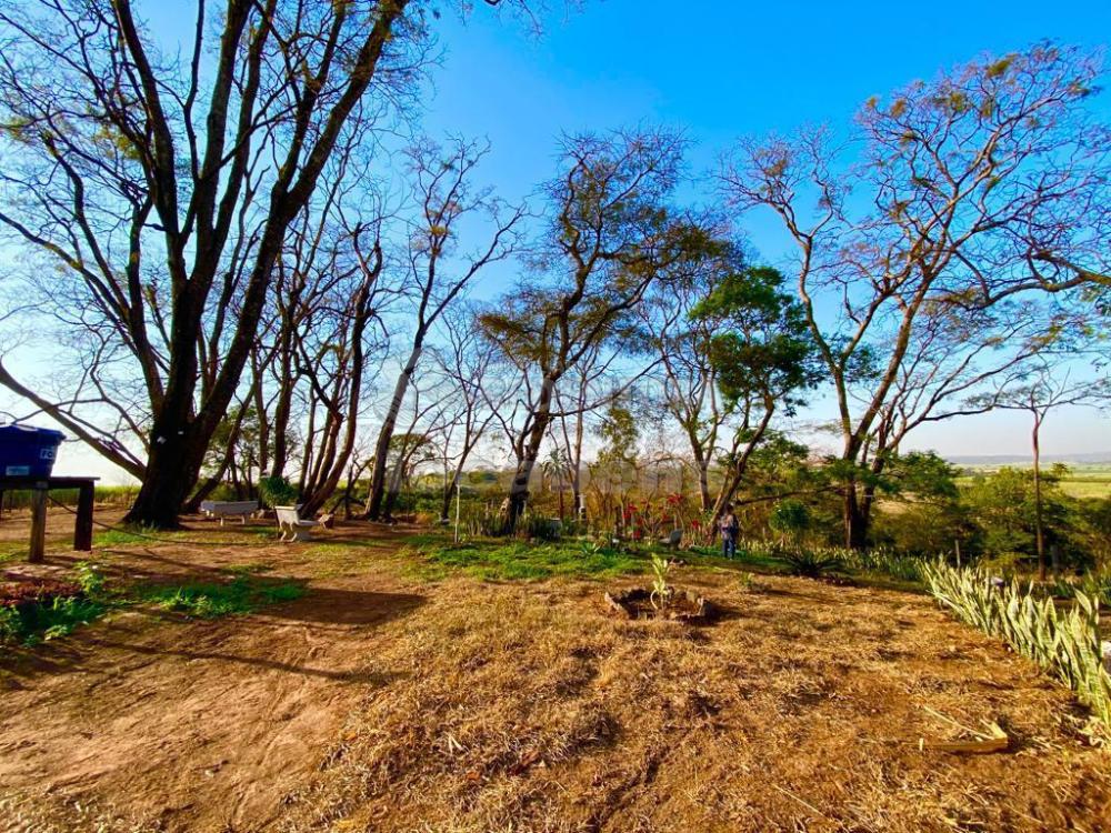 Sítio à venda com 6 quartos, 242000m² - Foto 31