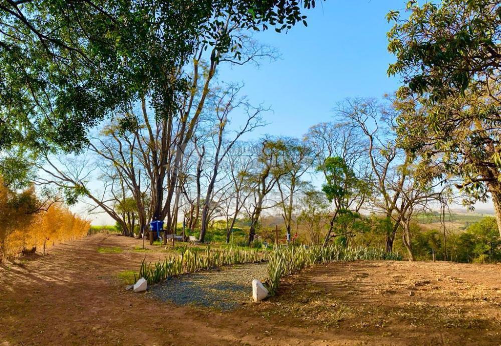 Sítio à venda com 6 quartos, 242000m² - Foto 38