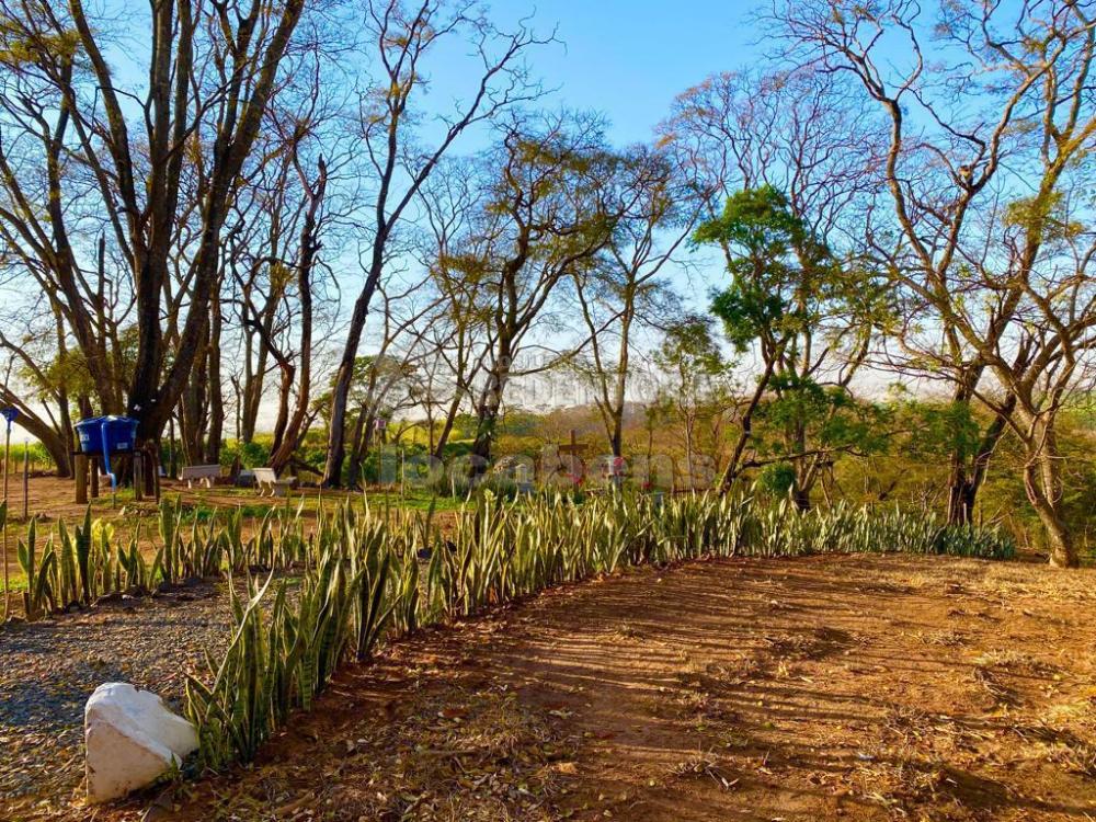 Sítio à venda com 6 quartos, 242000m² - Foto 37