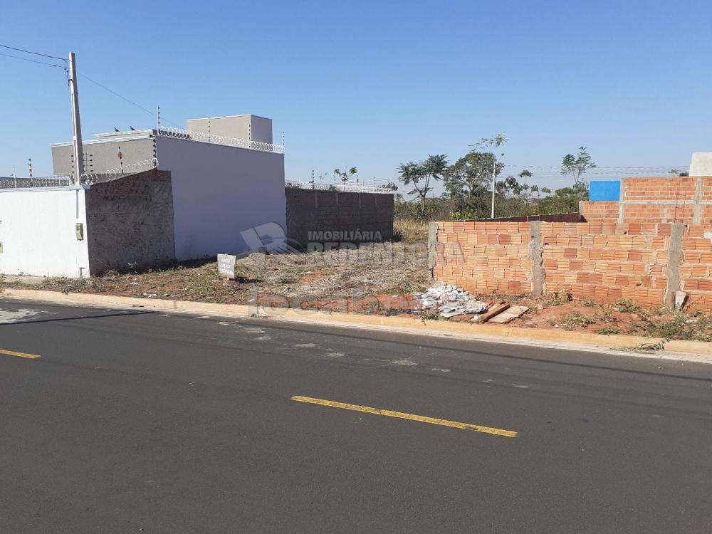 Comprar Terreno / Padrão em São José do Rio Preto apenas R$ 85.000,00 - Foto 1