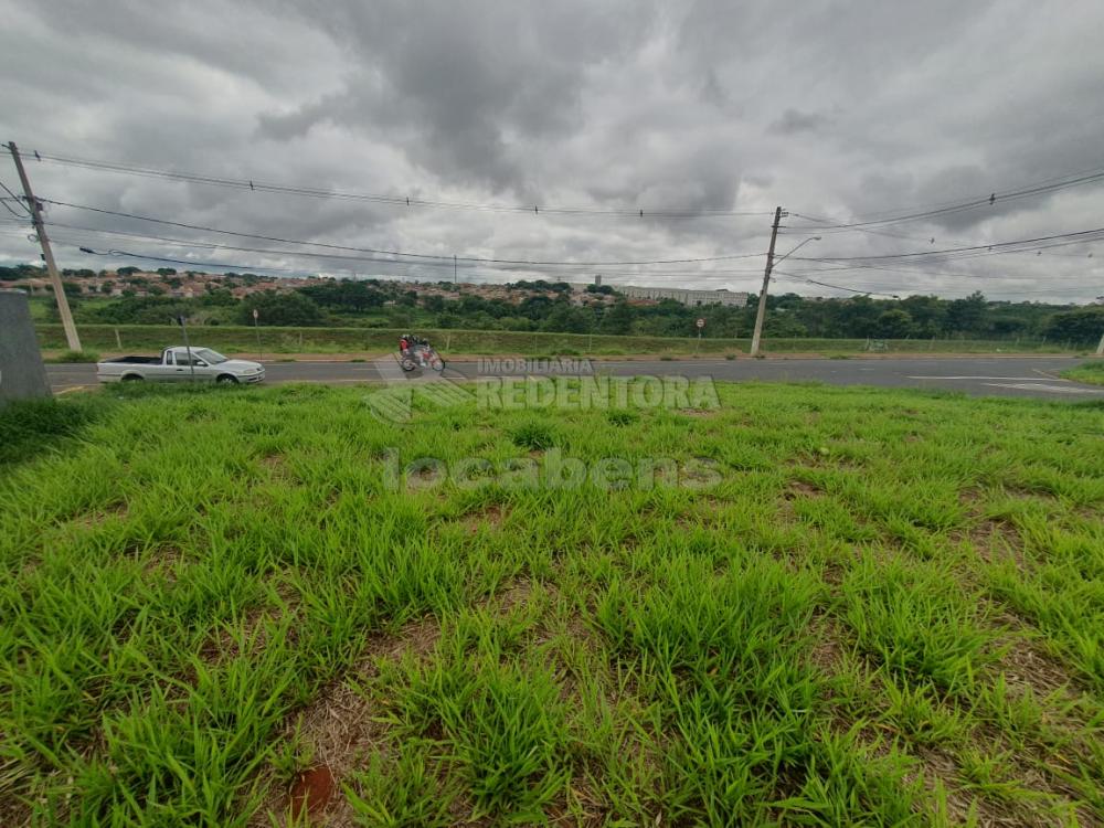 Comprar Terreno / Padrão em São José do Rio Preto R$ 125.000,00 - Foto 4