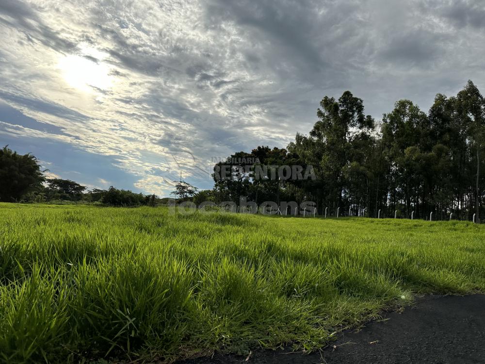 Comprar Terreno / Condomínio em São José do Rio Preto apenas R$ 950.000,00 - Foto 1