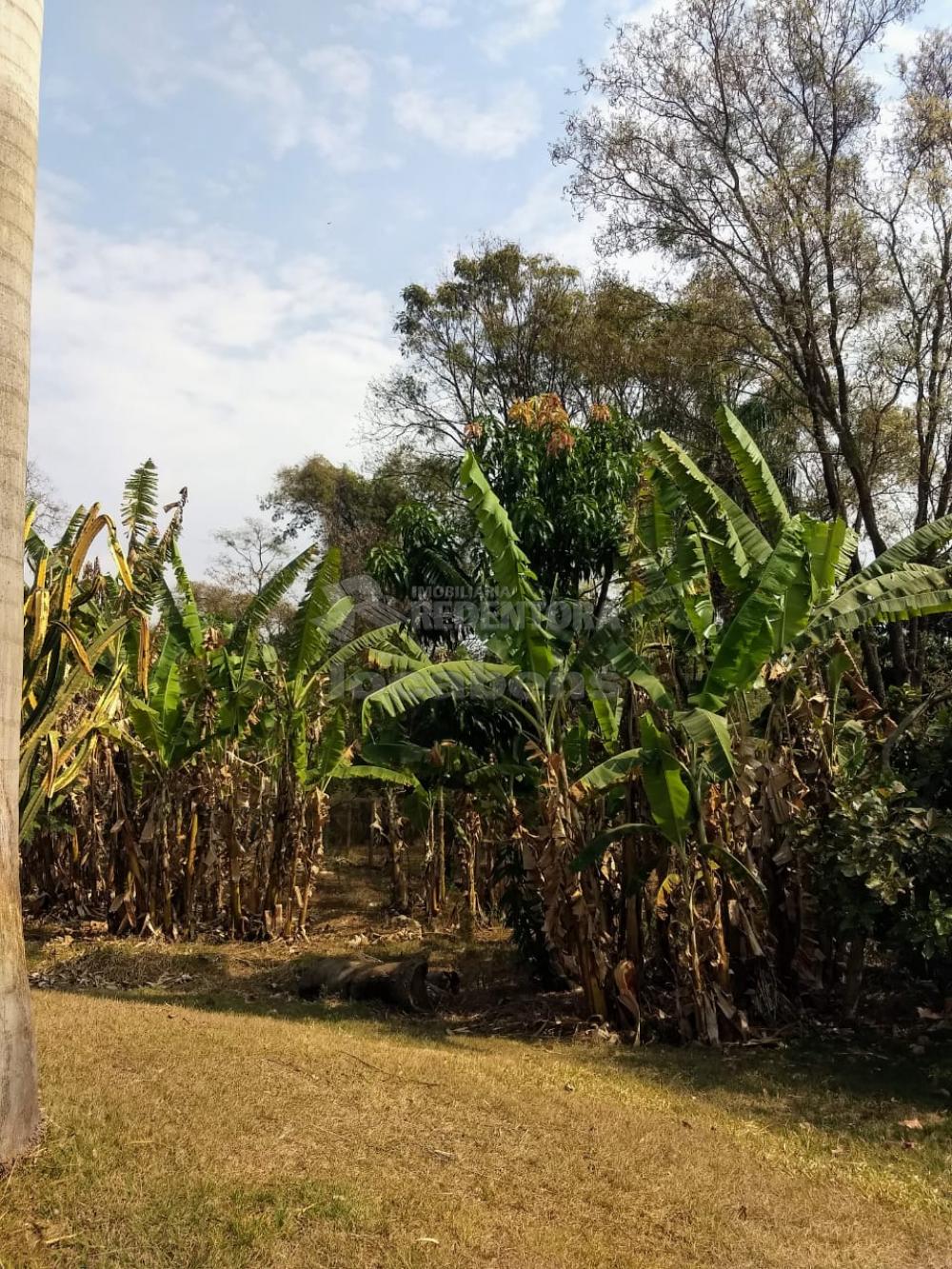 Alugar Casa / Condomínio em São José do Rio Preto apenas R$ 4.200,00 - Foto 17