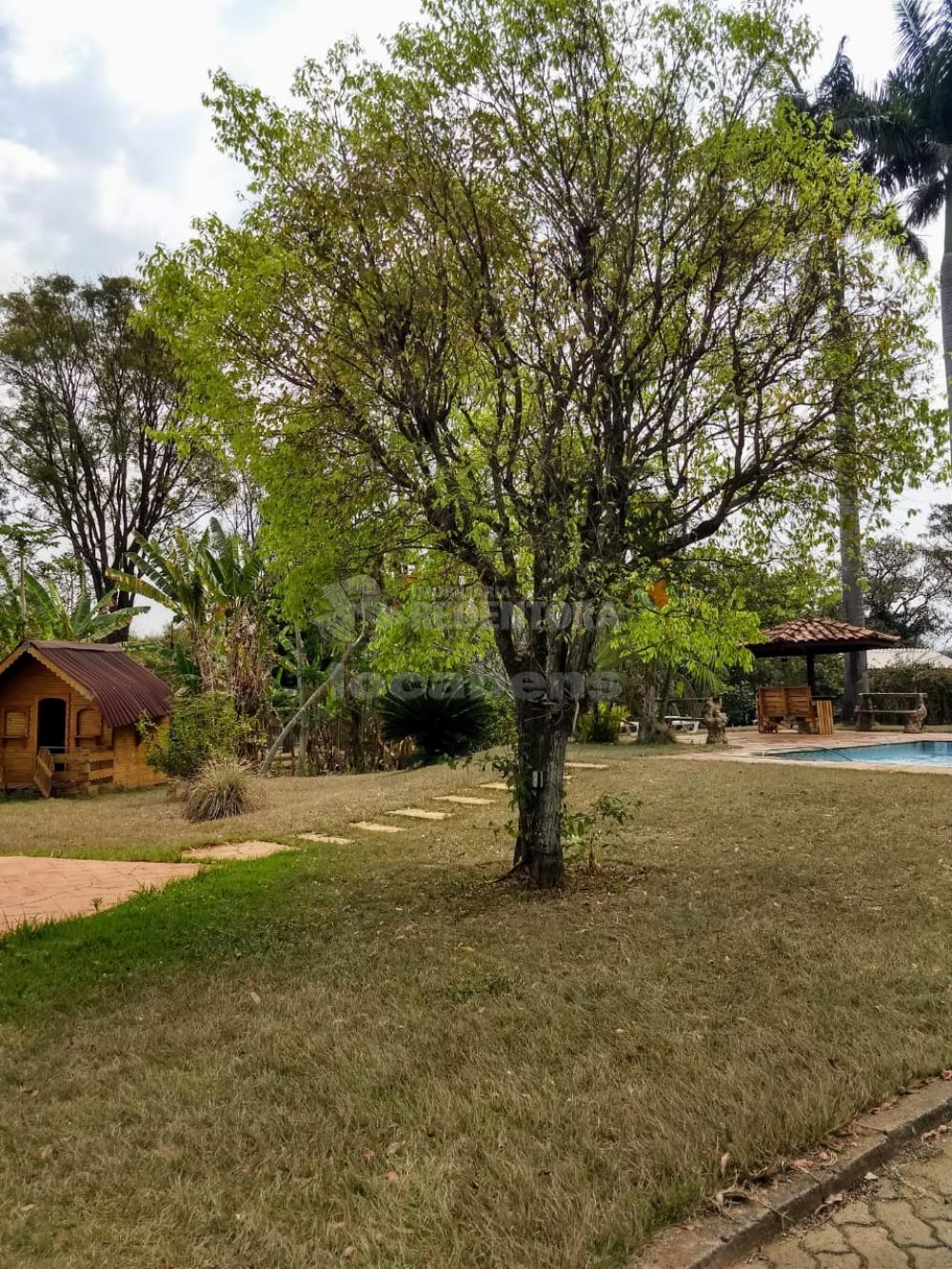 Alugar Casa / Condomínio em São José do Rio Preto R$ 4.200,00 - Foto 23