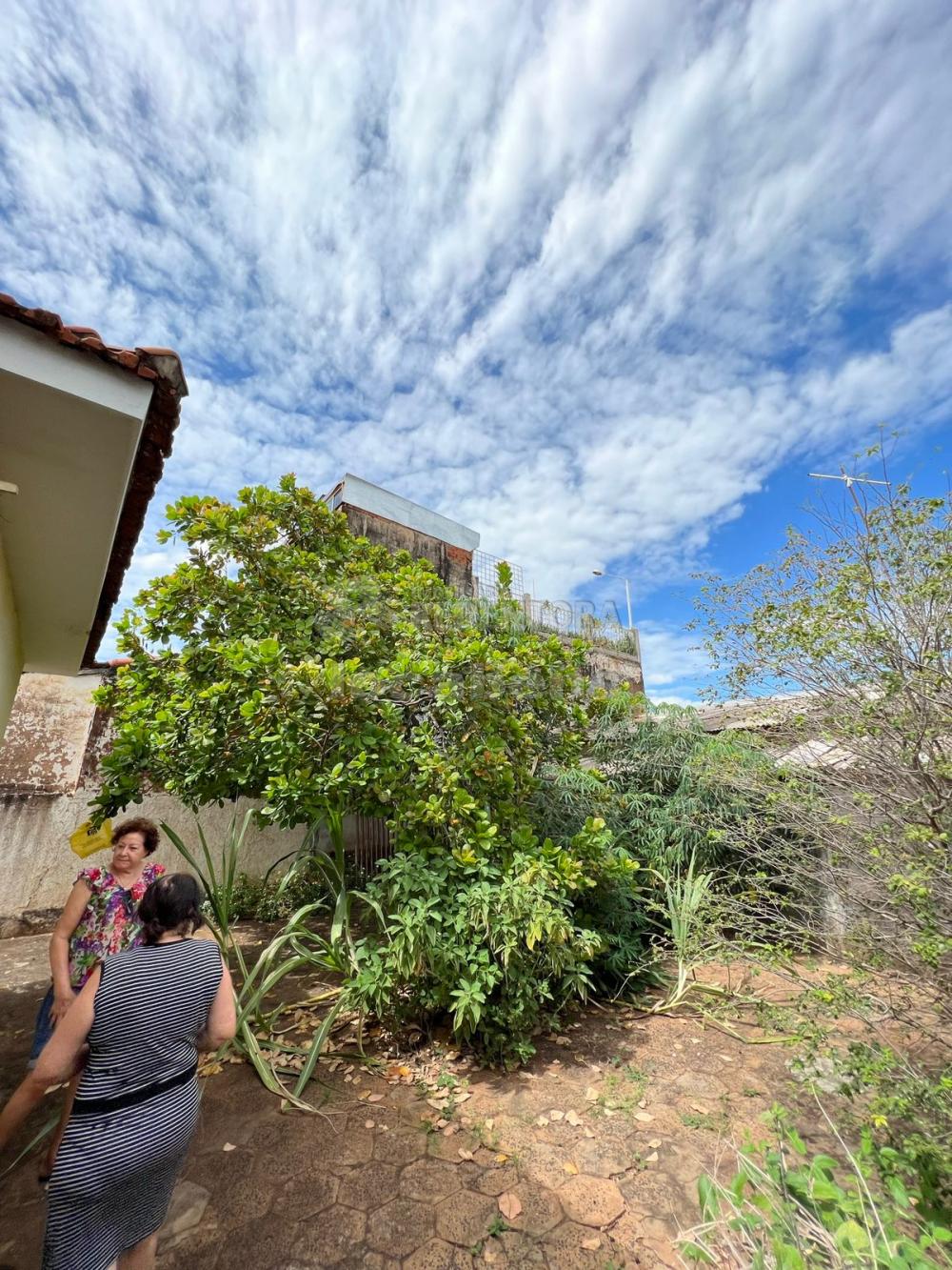 Alugar Casa / Padrão em São José do Rio Preto apenas R$ 1.300,00 - Foto 8