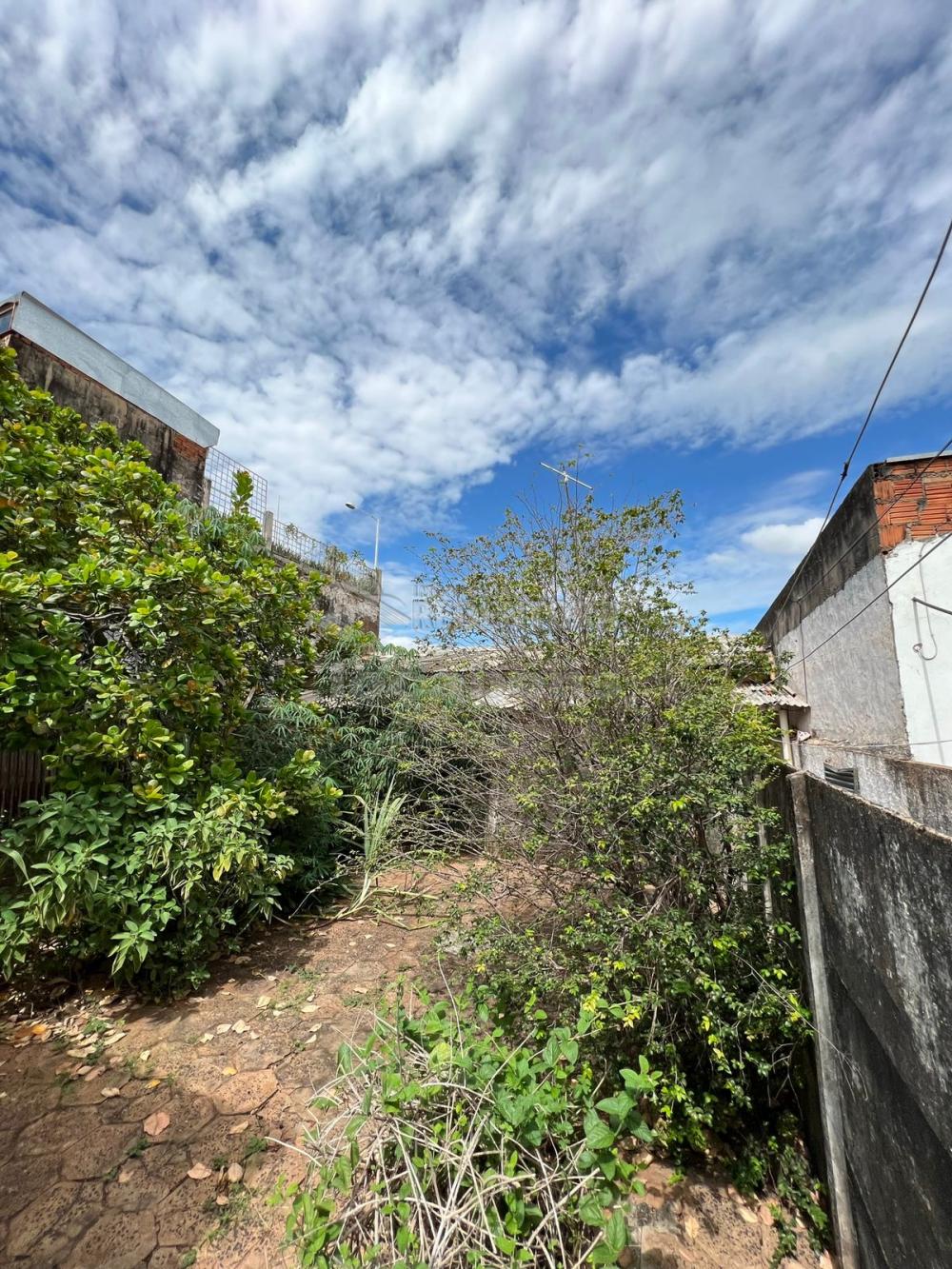 Alugar Casa / Padrão em São José do Rio Preto R$ 1.300,00 - Foto 9