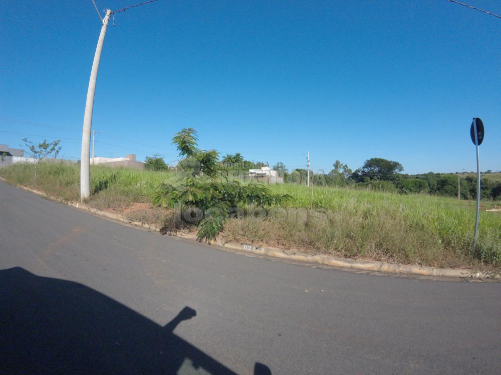 Comprar Terreno / Padrão em São José do Rio Preto R$ 110.000,00 - Foto 1