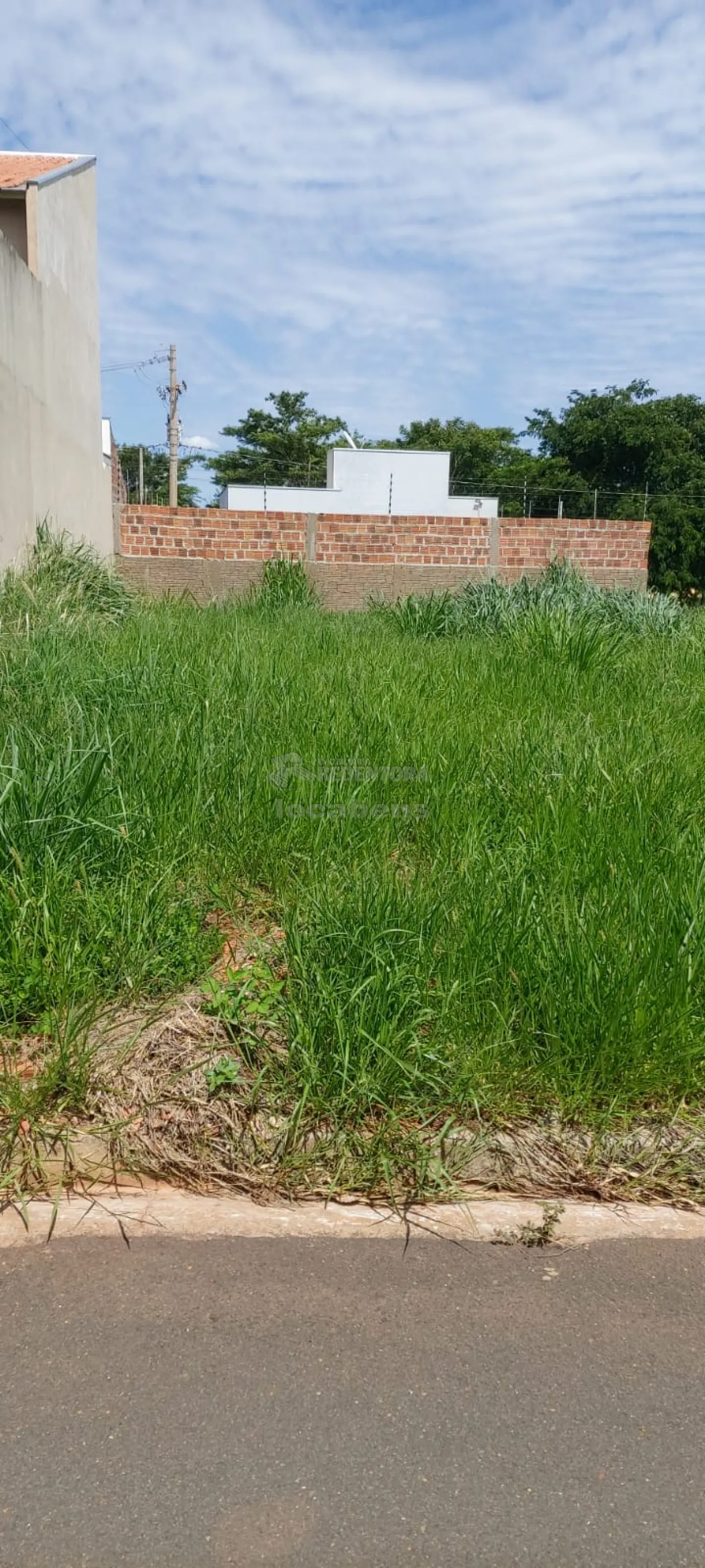 Comprar Terreno / Padrão em Bady Bassitt R$ 100.000,00 - Foto 4