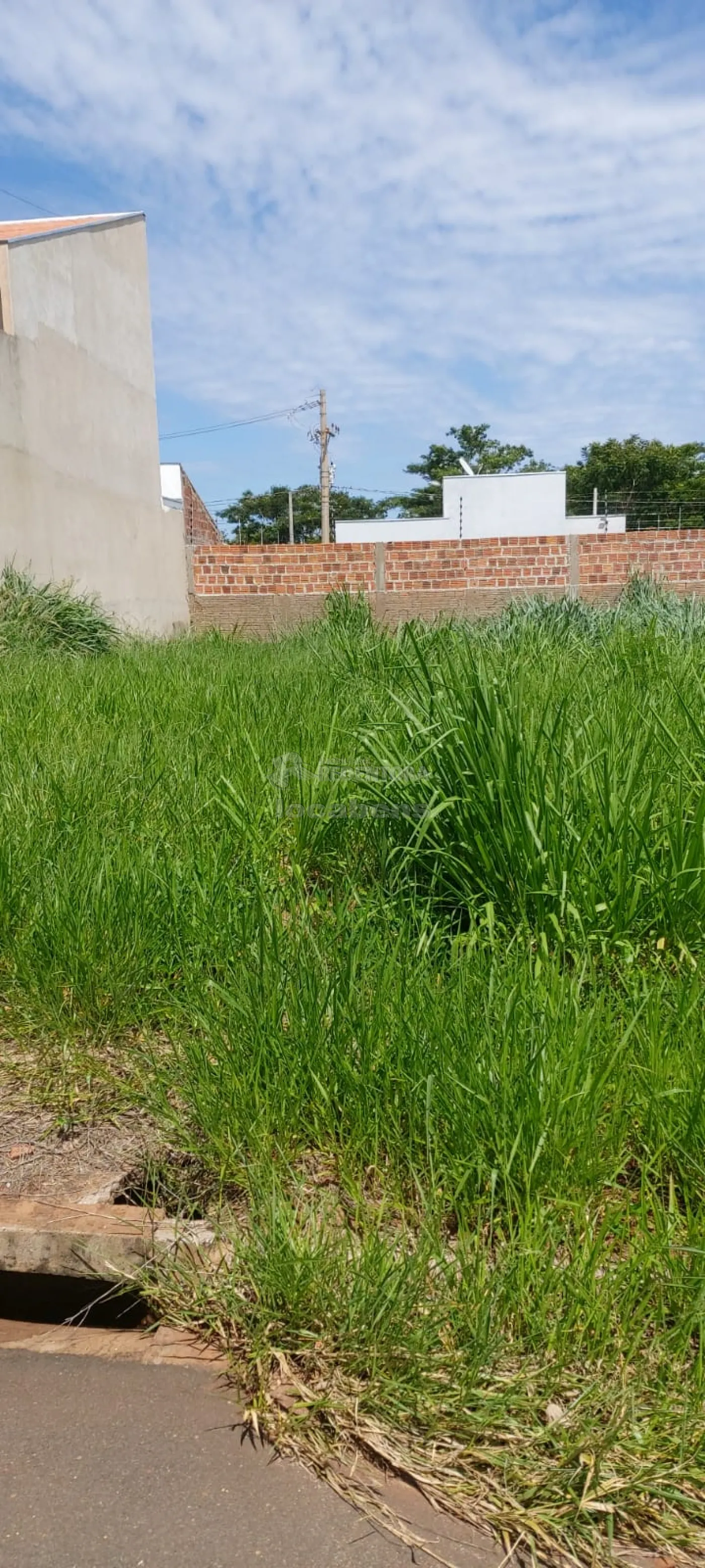 Comprar Terreno / Padrão em Bady Bassitt R$ 100.000,00 - Foto 5