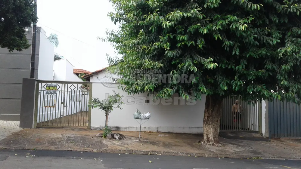 Alugar Casa / Padrão em São José do Rio Preto R$ 700,00 - Foto 28