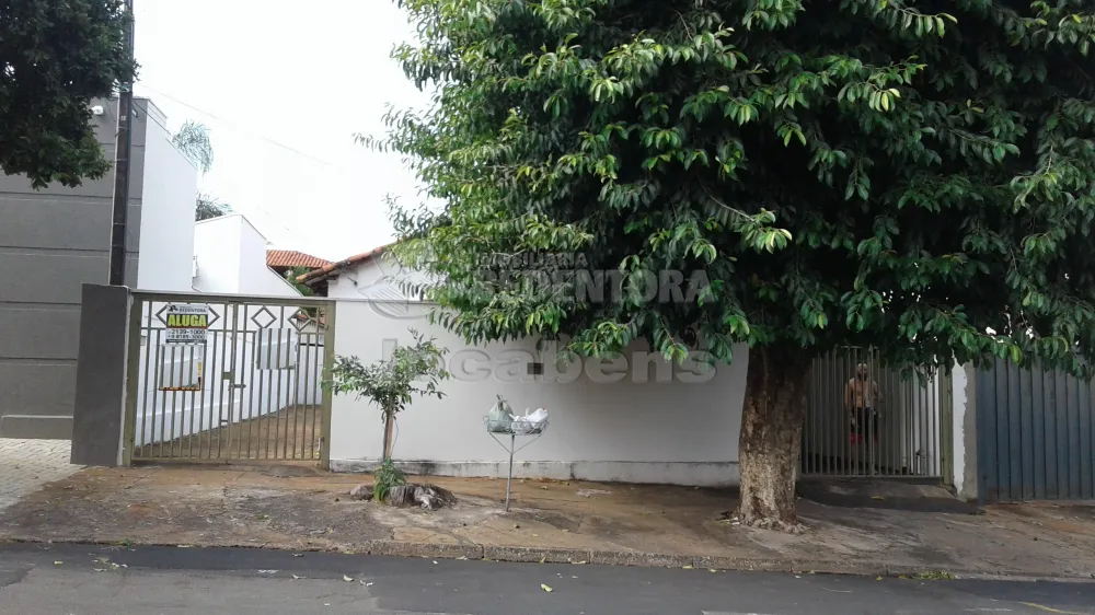 Alugar Casa / Padrão em São José do Rio Preto apenas R$ 700,00 - Foto 28