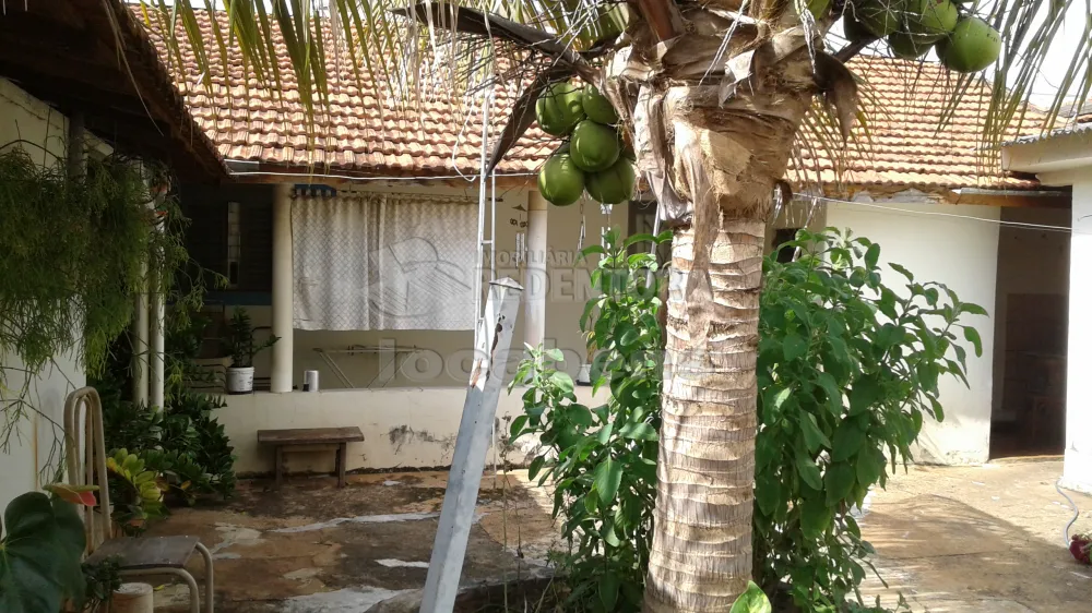 Alugar Casa / Padrão em São José do Rio Preto apenas R$ 700,00 - Foto 14