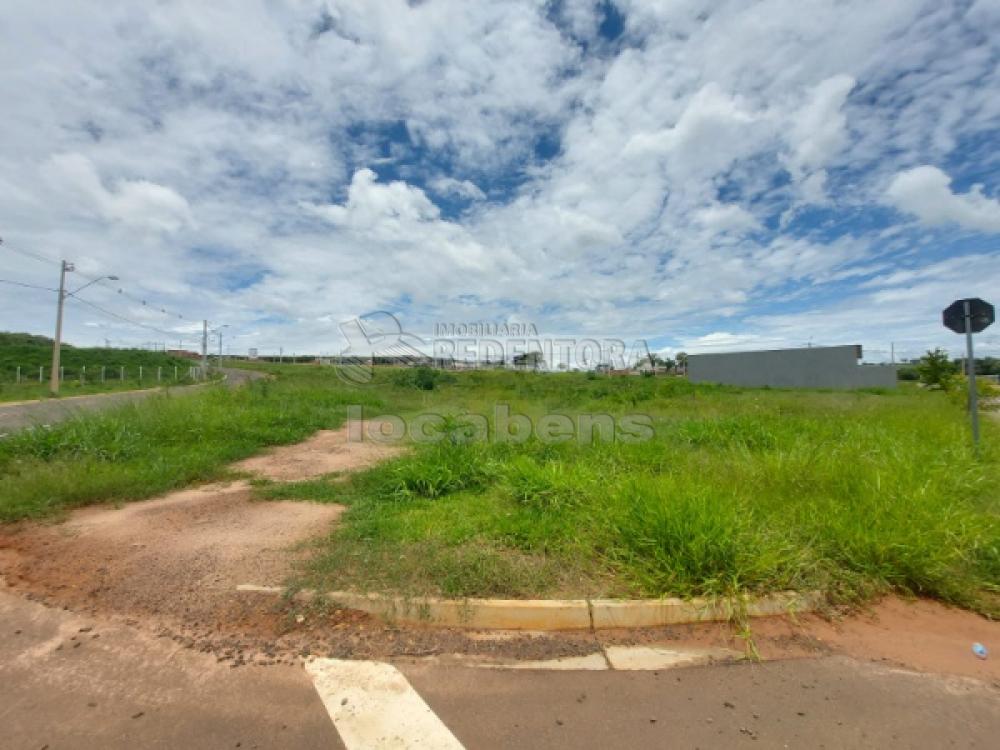 Comprar Terreno / Padrão em São José do Rio Preto R$ 168.000,00 - Foto 4