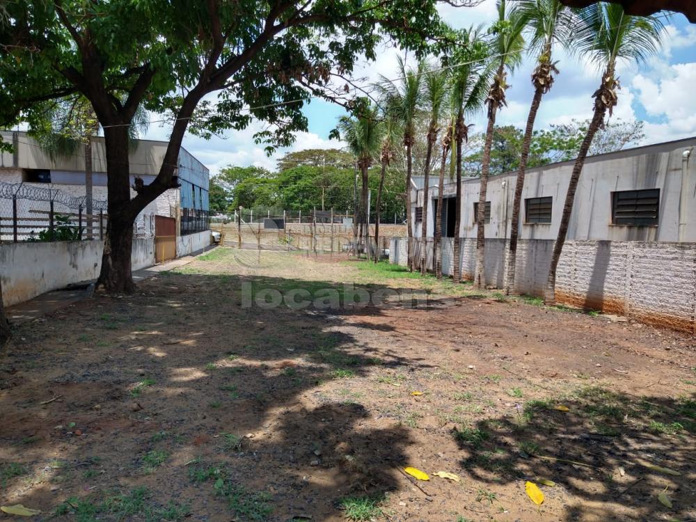 Comprar Terreno / Área em São José do Rio Preto R$ 4.300.000,00 - Foto 4