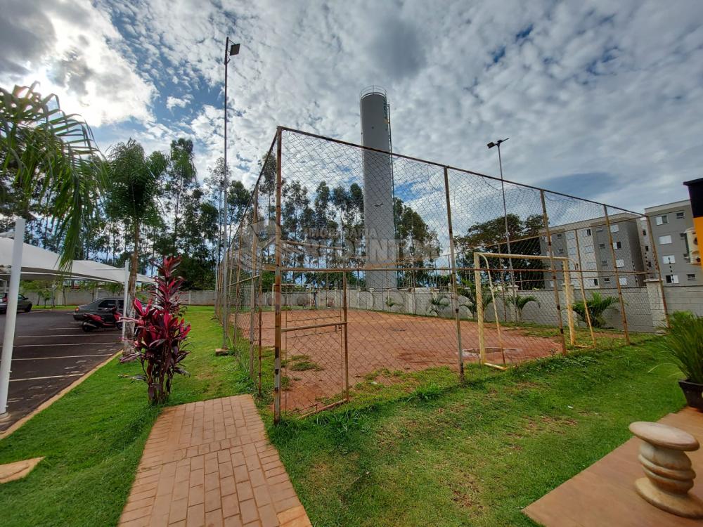 Alugar Apartamento / Padrão em São José do Rio Preto R$ 600,00 - Foto 10