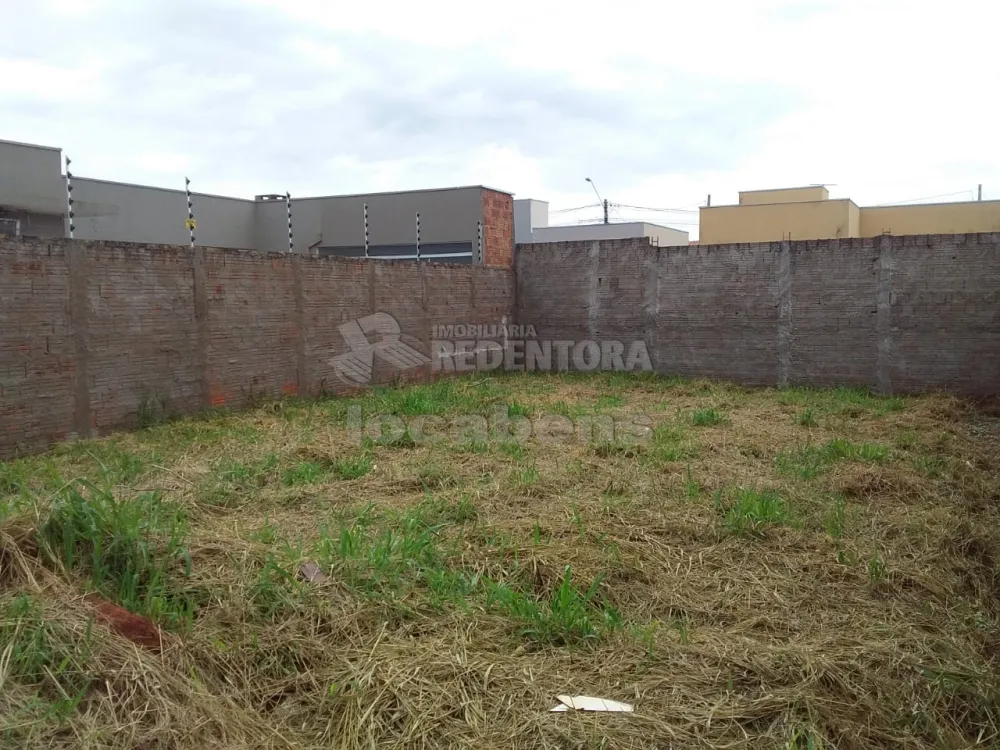 Comprar Terreno / Padrão em São José do Rio Preto R$ 150.000,00 - Foto 3