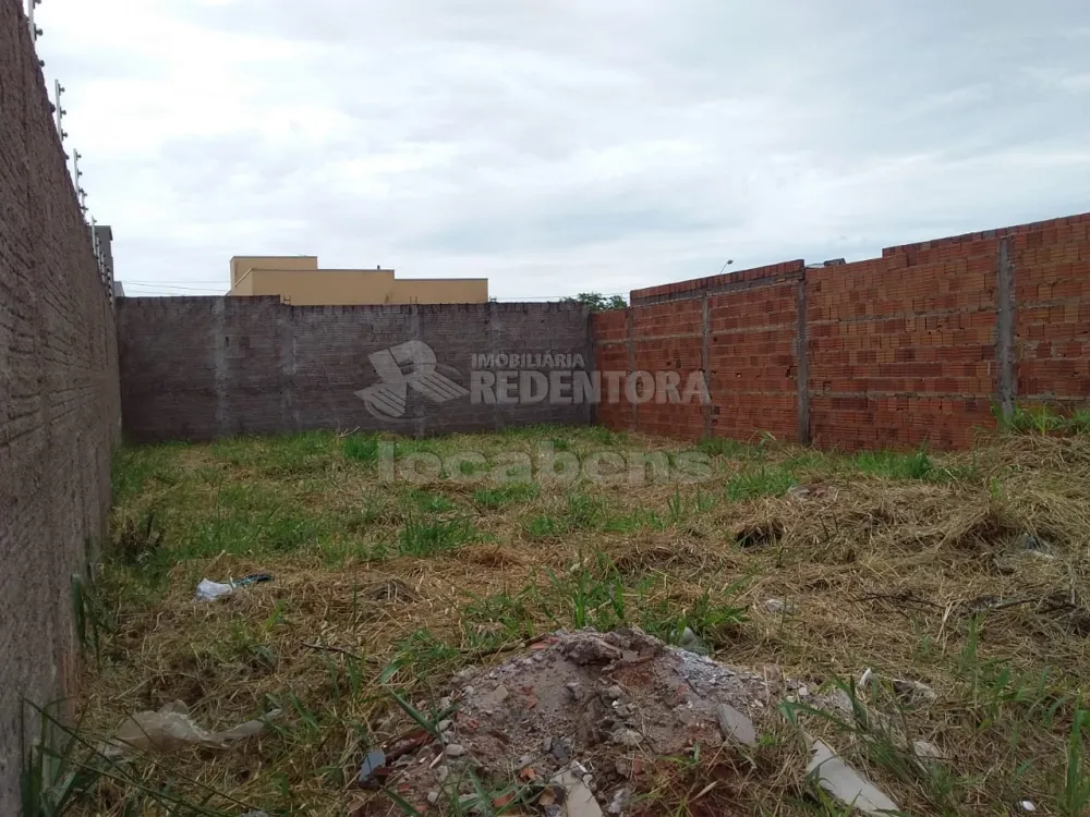 Comprar Terreno / Padrão em São José do Rio Preto R$ 150.000,00 - Foto 2