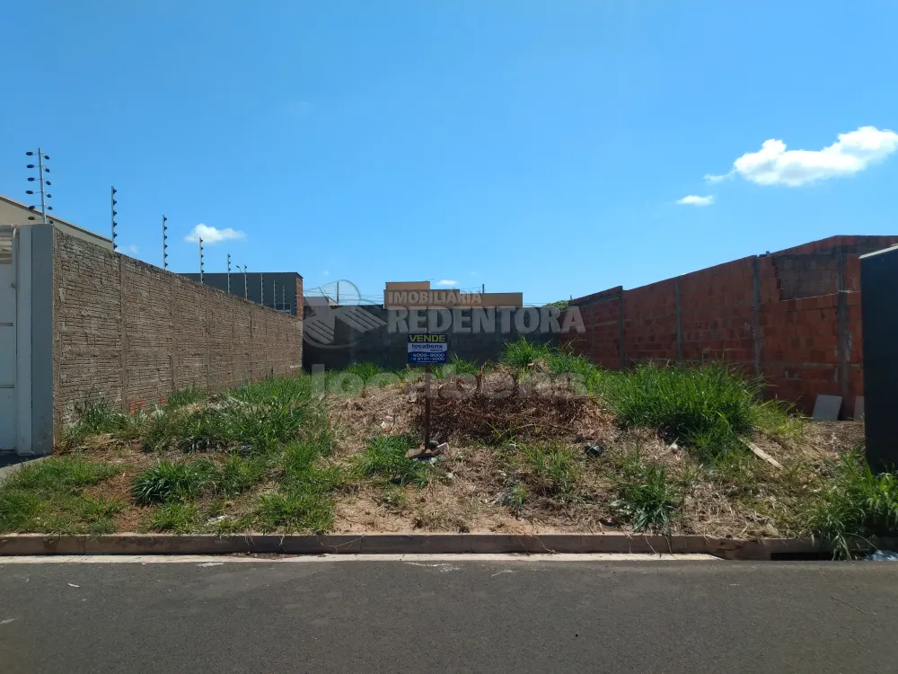 Comprar Terreno / Padrão em São José do Rio Preto R$ 150.000,00 - Foto 1