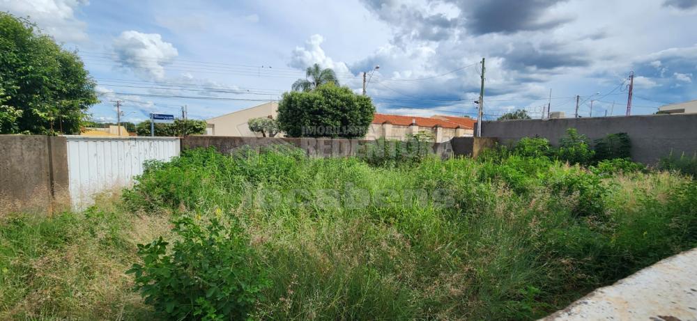 Comprar Casa / Padrão em São José do Rio Preto apenas R$ 580.000,00 - Foto 12