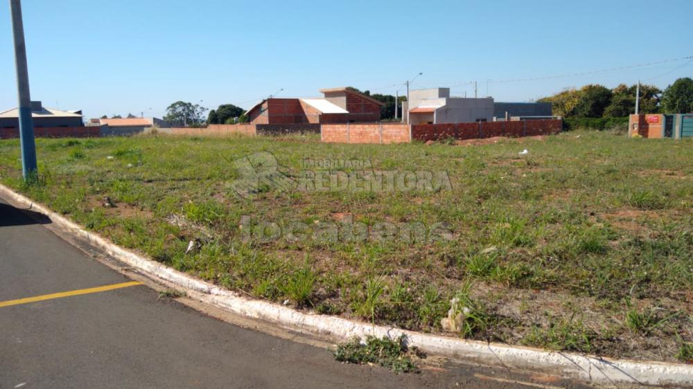 Comprar Terreno / Padrão em Uchoa - Foto 2