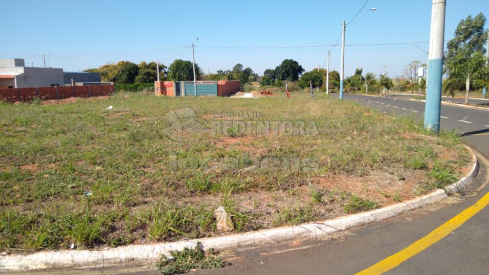 Comprar Terreno / Padrão em Uchoa - Foto 3