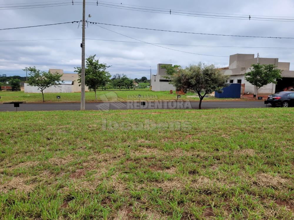 Comprar Terreno / Condomínio em Ipiguá R$ 110.000,00 - Foto 4