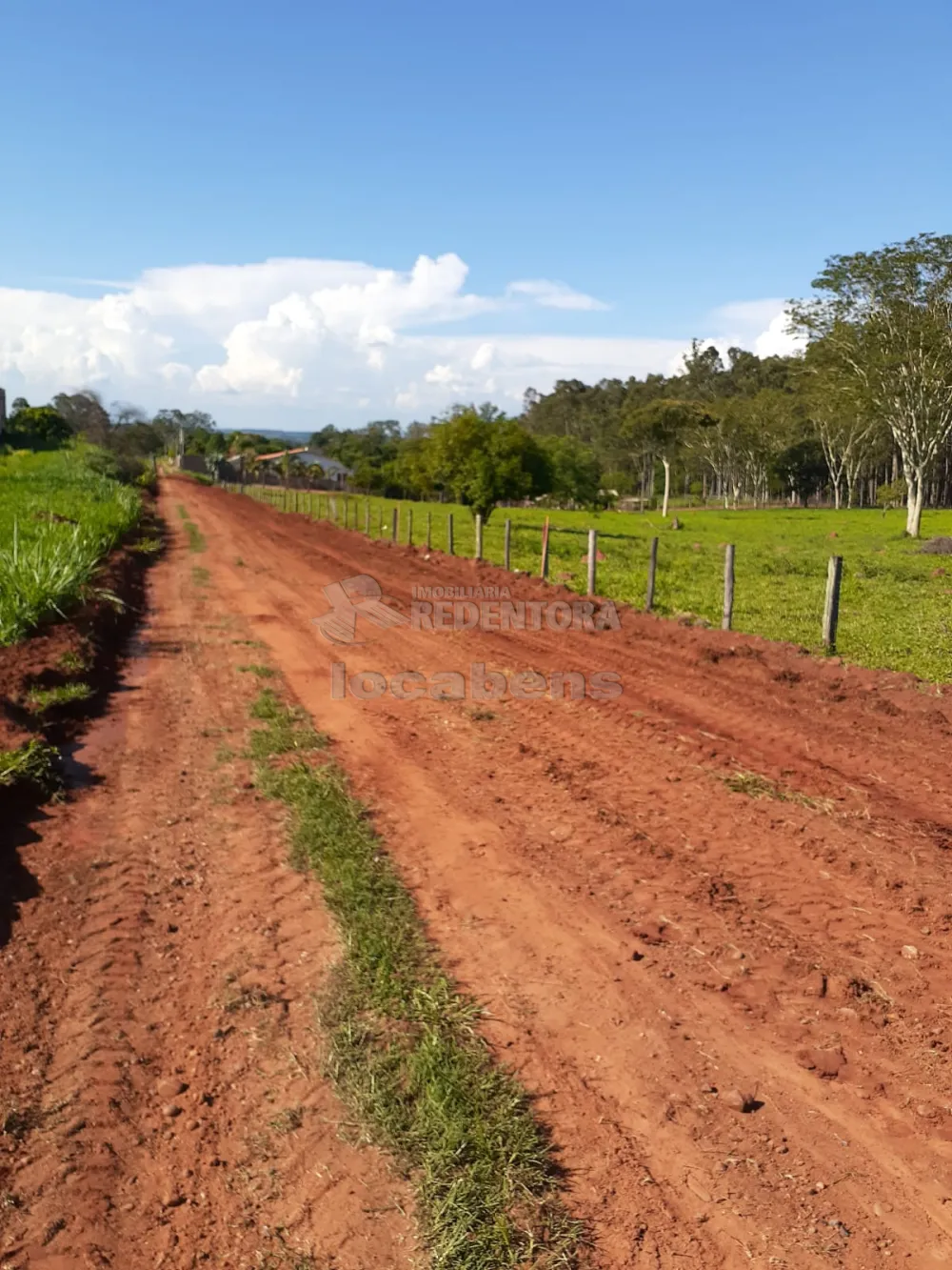 Comprar Terreno / Área em Mendonça R$ 2.000.000,00 - Foto 1