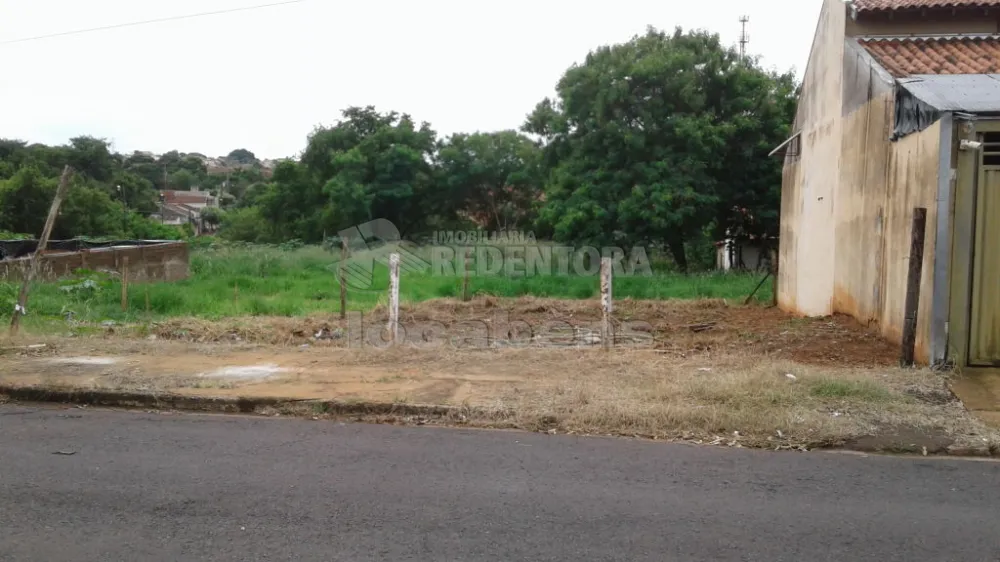 Comprar Terreno / Padrão em São José do Rio Preto apenas R$ 100.000,00 - Foto 2