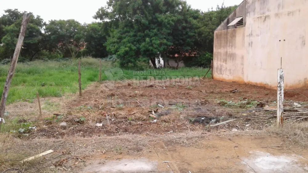 Comprar Terreno / Padrão em São José do Rio Preto R$ 100.000,00 - Foto 4