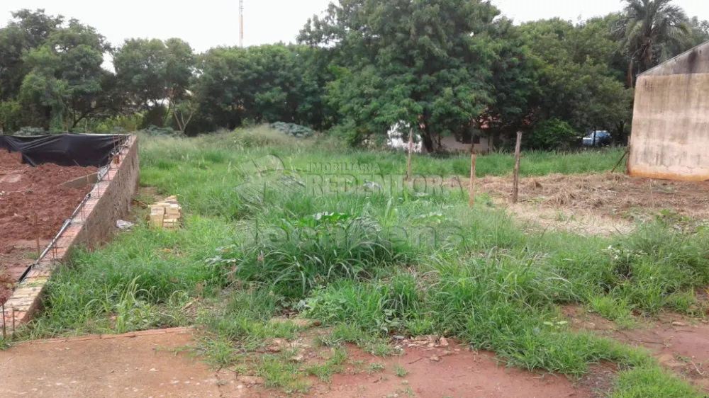 Comprar Terreno / Padrão em São José do Rio Preto R$ 100.000,00 - Foto 5