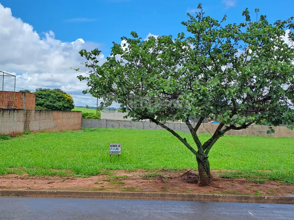 Comprar Terreno / Condomínio em Mirassol R$ 250.000,00 - Foto 3