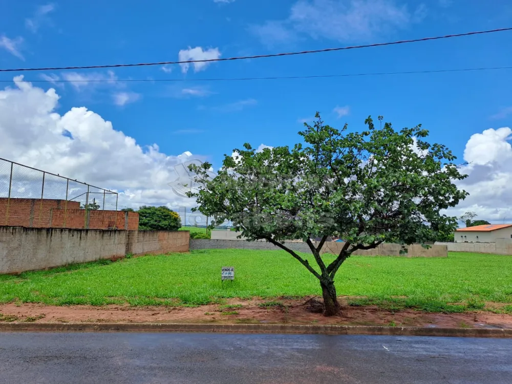 Comprar Terreno / Condomínio em Mirassol R$ 250.000,00 - Foto 1