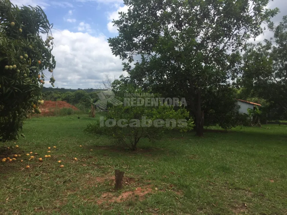 Comprar Terreno / Padrão em Cedral R$ 210.000,00 - Foto 3