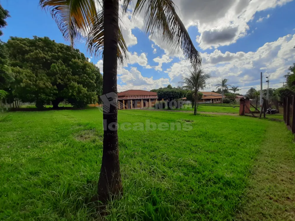 Comprar Rural / Chácara em Cedral R$ 1.200.000,00 - Foto 3