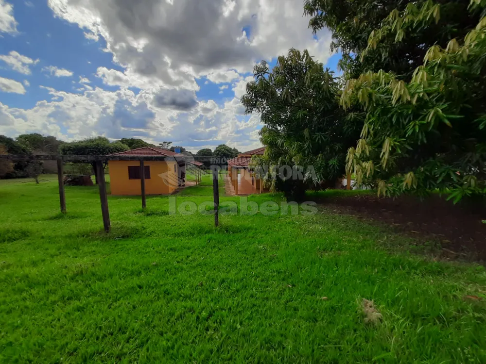 Comprar Rural / Chácara em Cedral R$ 1.200.000,00 - Foto 31