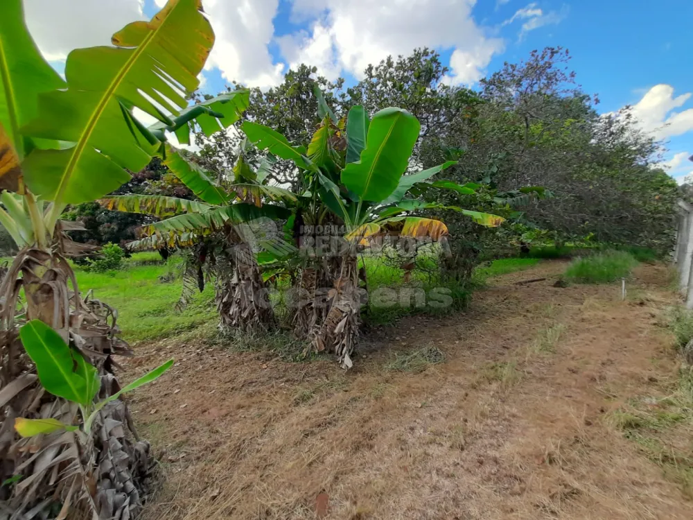 Comprar Rural / Chácara em Cedral R$ 1.200.000,00 - Foto 32