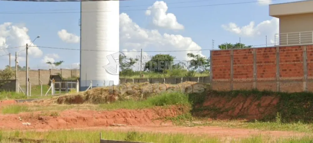 Comprar Terreno / Padrão em São José do Rio Preto R$ 132.500,00 - Foto 4