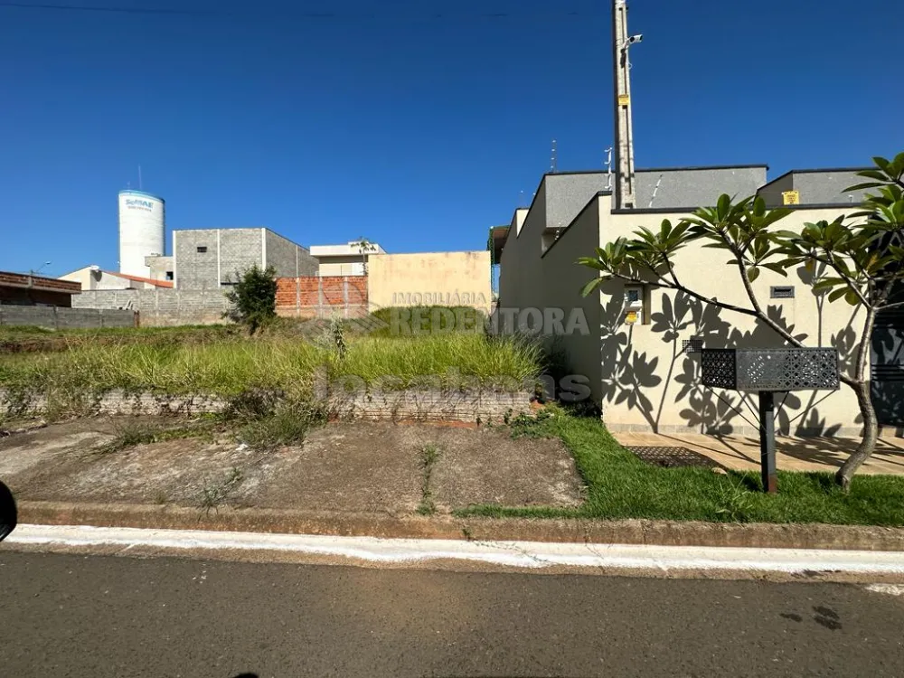 Comprar Terreno / Padrão em São José do Rio Preto R$ 132.500,00 - Foto 1