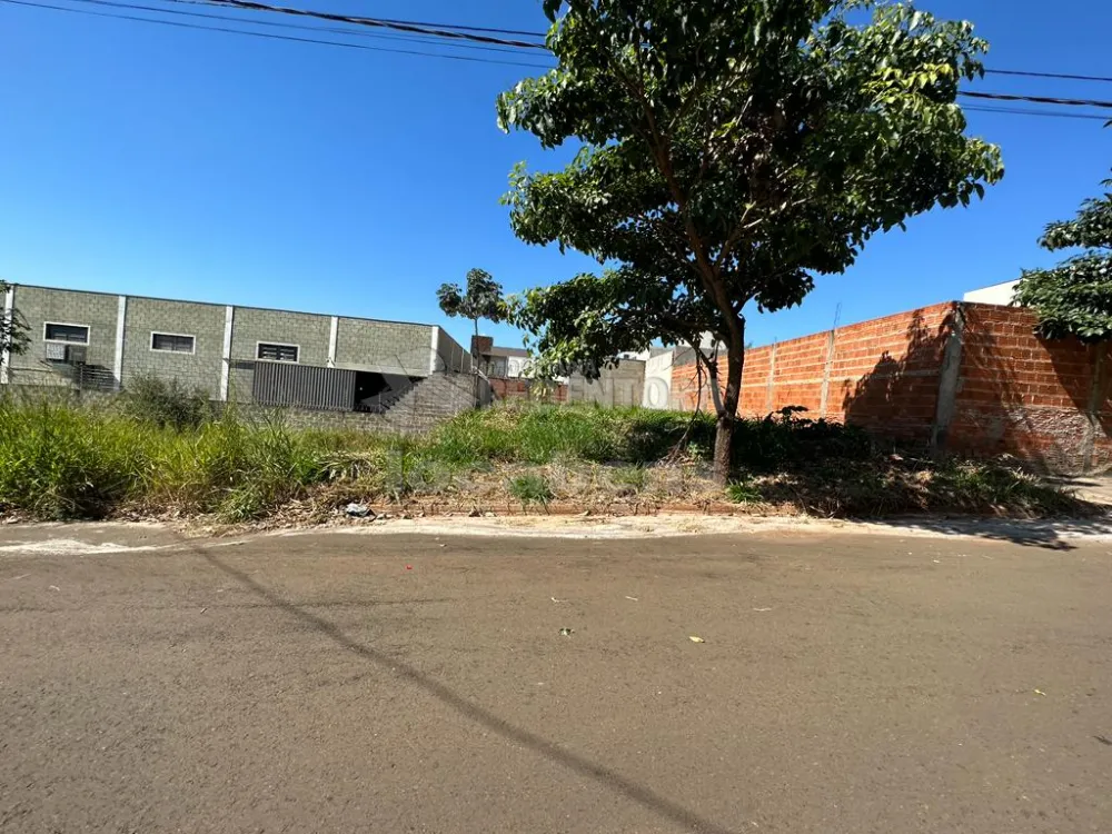 Comprar Terreno / Padrão em São José do Rio Preto R$ 106.000,00 - Foto 2