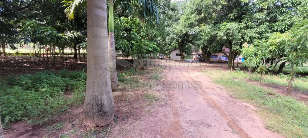 Comprar Rural / Chácara em São José do Rio Preto R$ 700.000,00 - Foto 4