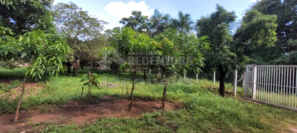 Comprar Rural / Chácara em São José do Rio Preto R$ 700.000,00 - Foto 6