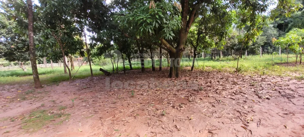 Comprar Rural / Chácara em São José do Rio Preto R$ 700.000,00 - Foto 8