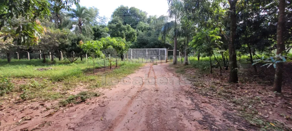 Comprar Rural / Chácara em São José do Rio Preto R$ 700.000,00 - Foto 9