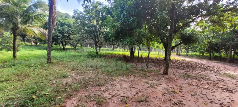 Comprar Rural / Chácara em São José do Rio Preto R$ 700.000,00 - Foto 10