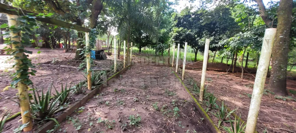 Comprar Rural / Chácara em São José do Rio Preto R$ 700.000,00 - Foto 14