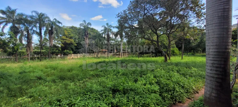 Comprar Rural / Chácara em São José do Rio Preto R$ 700.000,00 - Foto 15