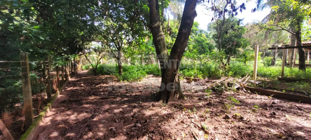 Comprar Rural / Chácara em São José do Rio Preto R$ 700.000,00 - Foto 17