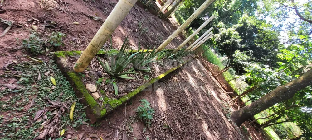 Comprar Rural / Chácara em São José do Rio Preto R$ 700.000,00 - Foto 18