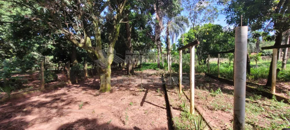 Comprar Rural / Chácara em São José do Rio Preto R$ 700.000,00 - Foto 19